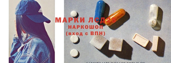 индика Горнозаводск