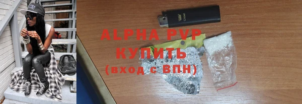 гашик Гусь-Хрустальный