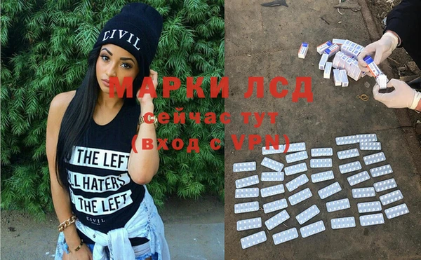 индика Горнозаводск