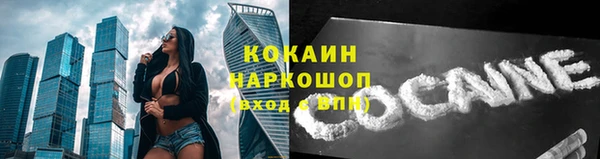 гашик Гусь-Хрустальный