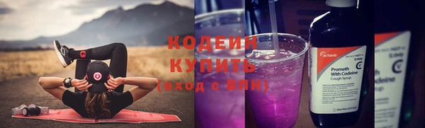 крисы Ахтубинск