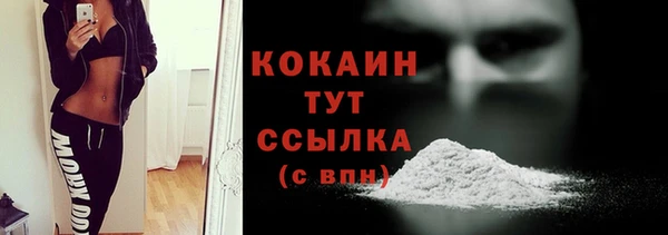гашик Гусь-Хрустальный