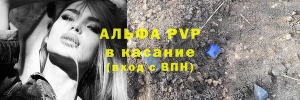 индика Горнозаводск