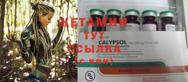 индика Горнозаводск