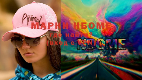 гашик Гусь-Хрустальный