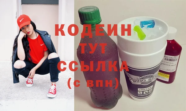 гашик Гусь-Хрустальный